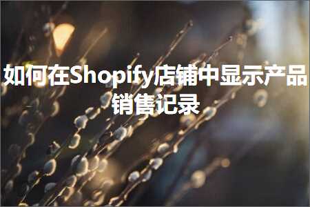 跨境电商知识:如何在Shopify店铺中显示产品销售记录