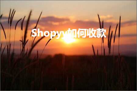 璺ㄥ鐢靛晢鐭ヨ瘑:Shopyy濡備綍鏀舵