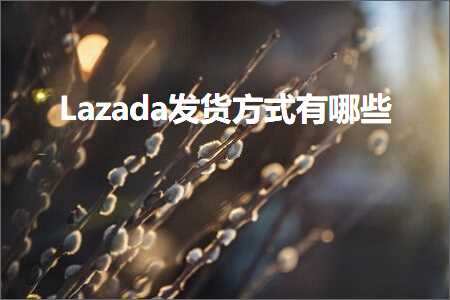 璺ㄥ鐢靛晢鐭ヨ瘑:Lazada鍙戣揣鏂瑰紡鏈夊摢浜? width=