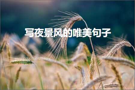 鍐欏鏅鐨勫敮缇庡彞瀛愶紙鏂囨882鏉★級