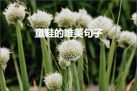 褰㈠绉嬪ぉ鐨勫敮缇庡彞瀛愬垵涓夛紙鏂囨564鏉★級