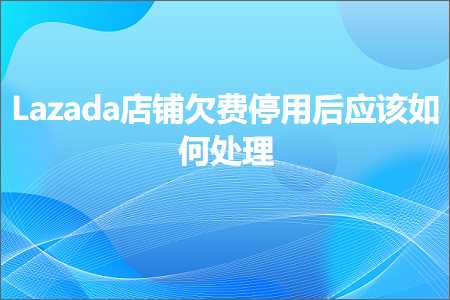 璺ㄥ鐢靛晢鐭ヨ瘑:Lazada搴楅摵娆犺垂鍋滅敤鍚庡簲璇ュ浣曞鐞? width=