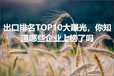 璺ㄥ鐢靛晢鐭ヨ瘑:鍑哄彛鎺掑悕TOP10澶ф洕鍏夛紝浣犵煡閬撳摢浜涗紒涓氫笂姒滀簡鍚? width=