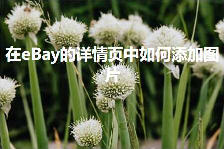 跨境电商知识:在eBay的详情页中如何添加图片