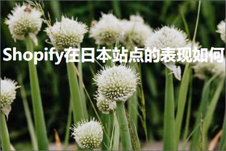 璺ㄥ鐢靛晢鐭ヨ瘑:Shopify鍦ㄦ棩鏈珯鐐圭殑琛ㄧ幇濡備綍