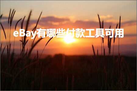 跨境电商知识:eBay有哪些付款工具可用