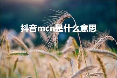 璺ㄥ鐢靛晢鐭ヨ瘑:鎶栭煶mcn鏄粈涔堟剰鎬? width=