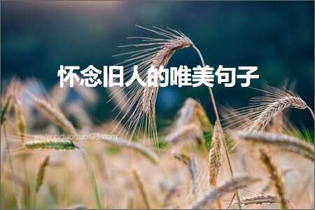 鎬€蹇垫棫浜虹殑鍞編鍙ュ瓙锛堟枃妗?97鏉★級