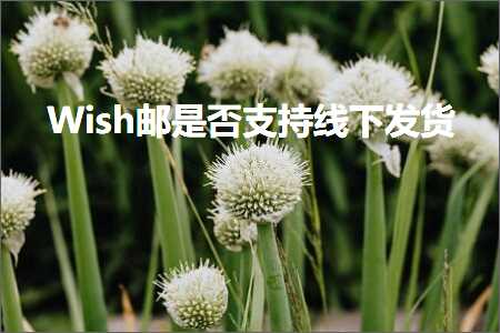 跨境电商知识:Wish邮是否支持线下发货