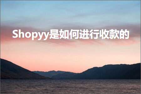 跨境电商知识:Shopyy是如何进行收款的