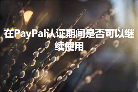 跨境电商知识:在PayPal认证期间是否可以继续使用